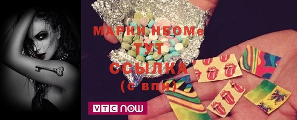 хмурый Верея