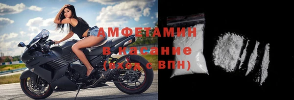хмурый Верея