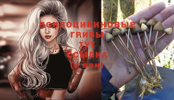 хмурый Верея