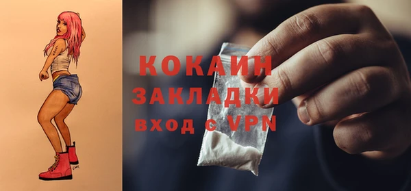 прущие грибы Волосово
