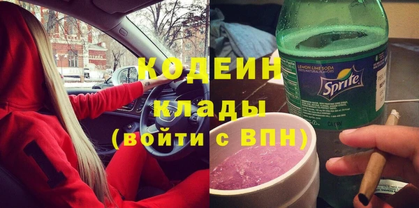 хмурый Верея
