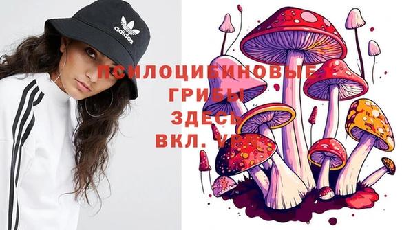 хмурый Верея