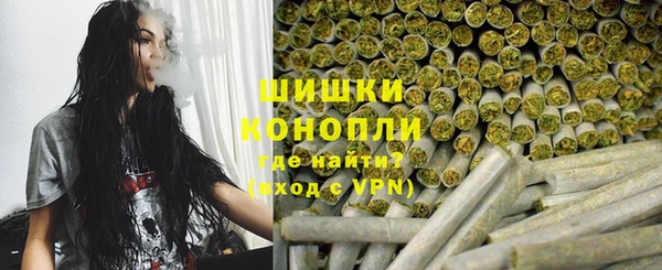 хмурый Верея