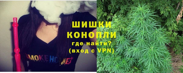хмурый Верея
