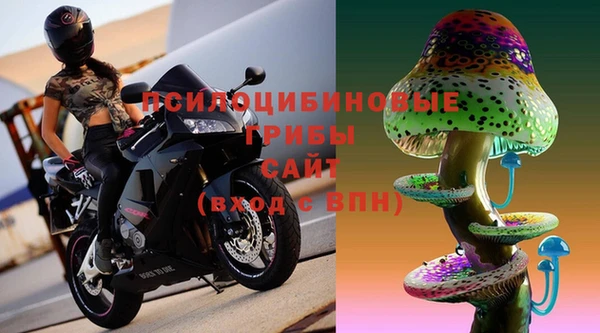 хмурый Верея