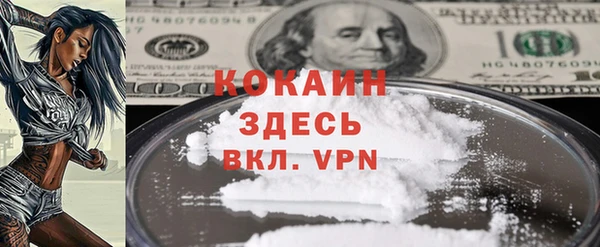 прущие грибы Волосово