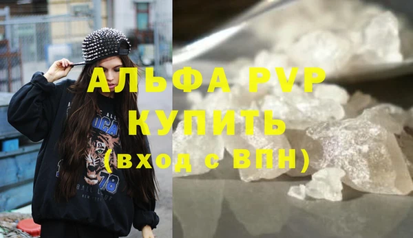 хмурый Верея