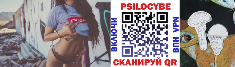 закладка  Юхнов  Галлюциногенные грибы Psilocybine cubensis 